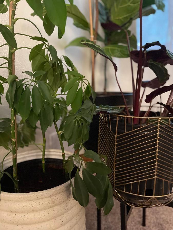 Flora House DEN Eksteriør bilde